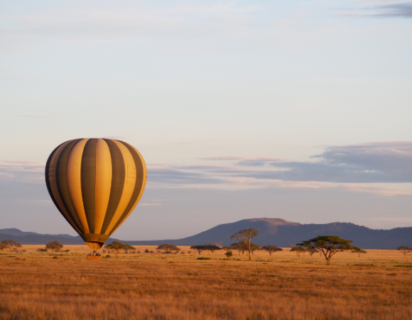 Magical Kenya Safari