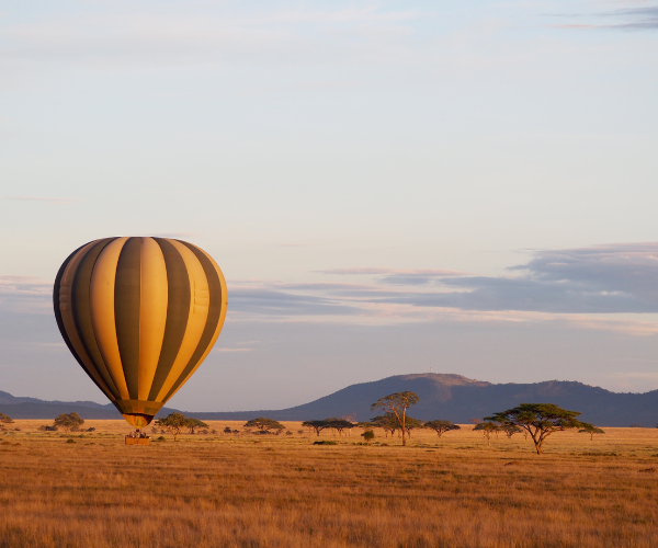 Magical Kenya Safari